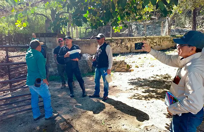 Entrenarán a perros para detectar el gusano barrenador