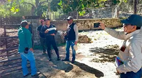 Entrenarán a perros para detectar el gusano barrenador