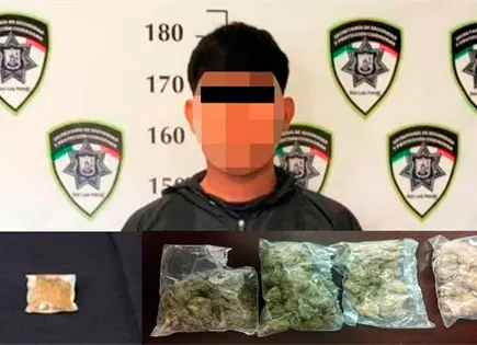 Aseguran dosis de marihuana al norte de la ciudad Aseguran dosis de marihuana al norte de la ciudad
