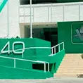 Partido Verde ir&aacute; por alcald&iacute;as sin Morena