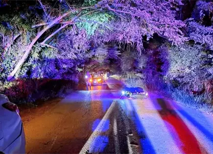 Joven motociclista muere tras chocar con vaca en Tanlaj&aacute;s