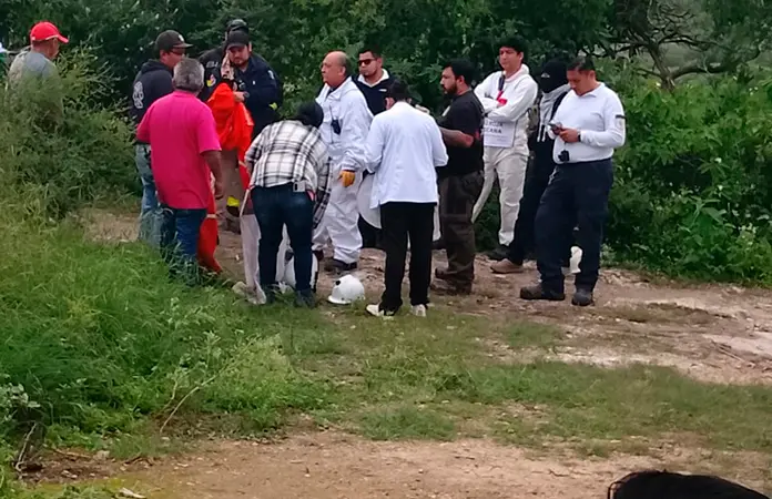 Muere adulto mayor atacado por abejas